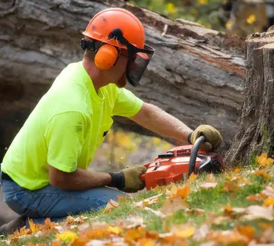 tree services Lee Acres